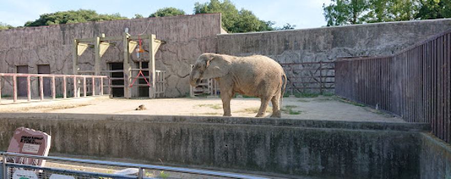 Tobu Super Pool