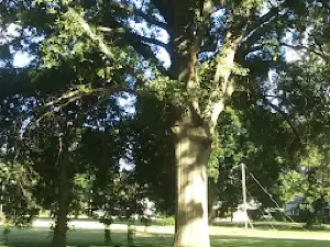 Clerico Park