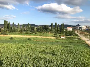 Orhaneli Stream