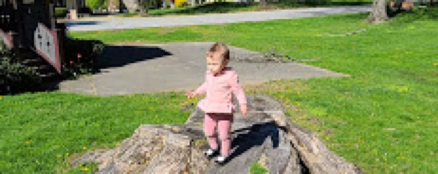 Mesier Park