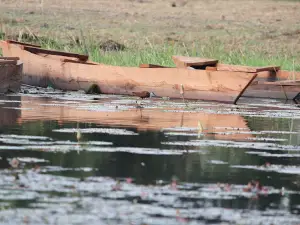 Lake Tengrela