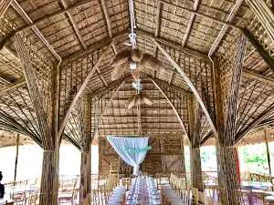 Khu Sinh Thái Cây Nơi