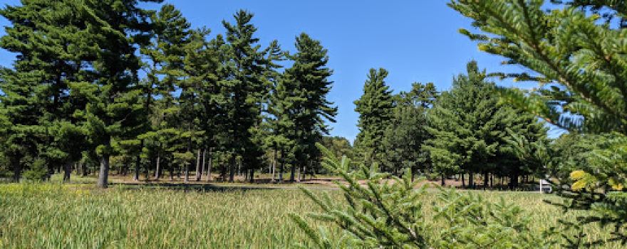 Breakers Disc Golf at Summit Church