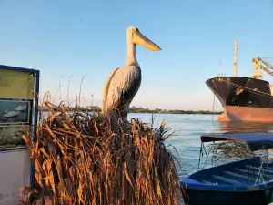 Faleză Sulina