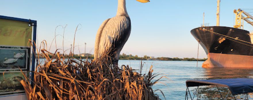 Faleză Sulina