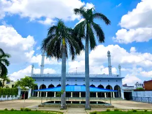 Jamia tul Falah