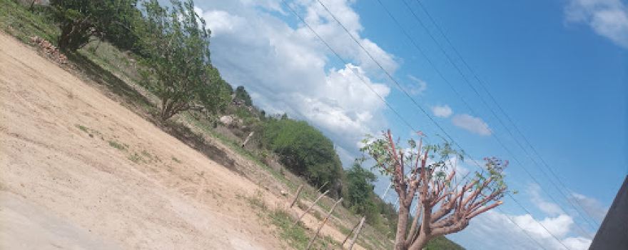 Serra da Gameleira