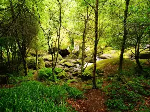 Le Gouffre de Huelgoat