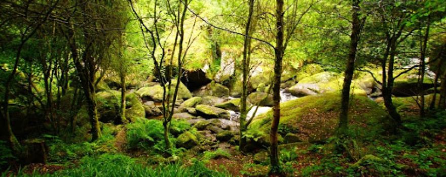Le Gouffre de Huelgoat