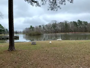 Lucas Pond Disc Golf Course