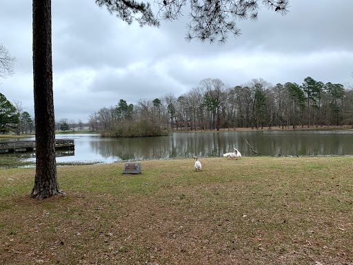 Lucas Pond Disc Golf Course