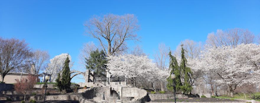 Shadyside Memorial Park Chinese Gardens