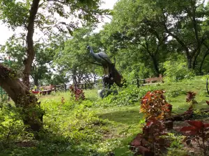 도키 파크,