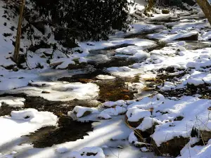 Linn Run State Park