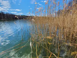 Pole namiotowe "Nad Zielonym"