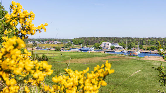 Schiffsausflüge ab Hafen Baabe (Bollwerk) | Weiße Flotte GmbH