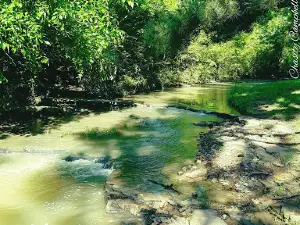 Bill J Barber Park