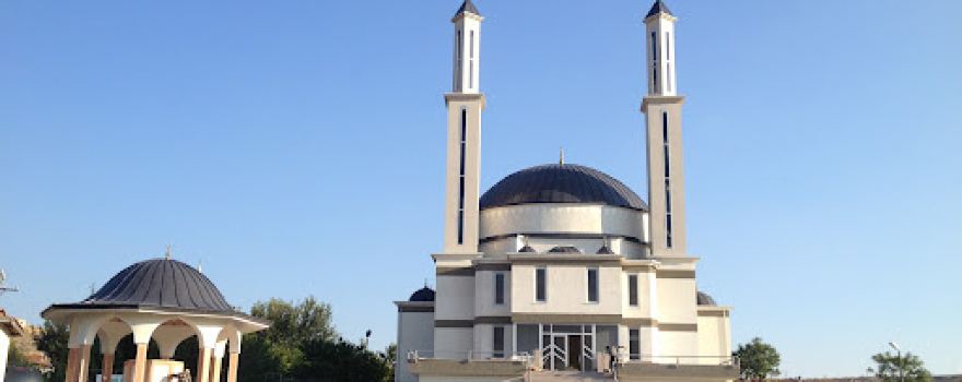 Çiçektep Village Mosque