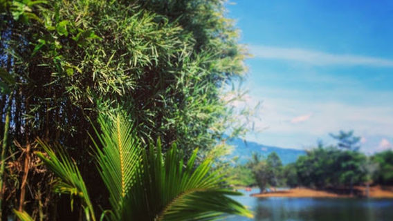 Danau Picung Kabupaten Lebong