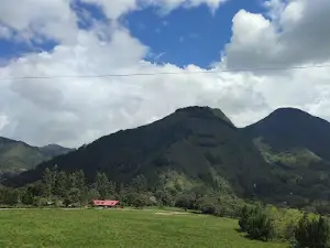 Manantial de la Virgen