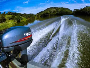 Pomba River