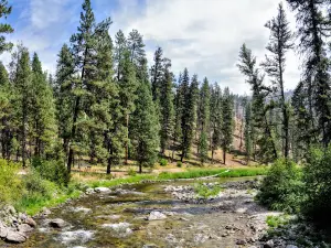 South Fork Salmon River