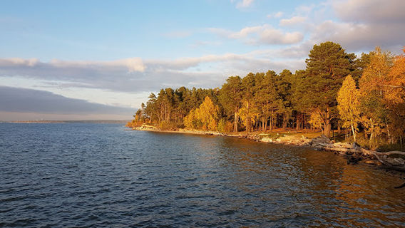 Palatochnyy Lager' 'yunost''