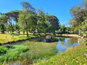 Vila Caia Camping