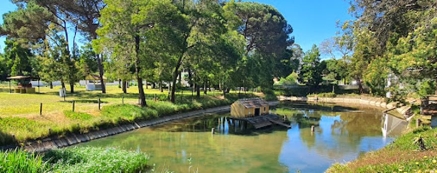 Vila Caia Camping