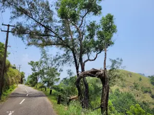 Ponmudi Hill Top, Vithura
