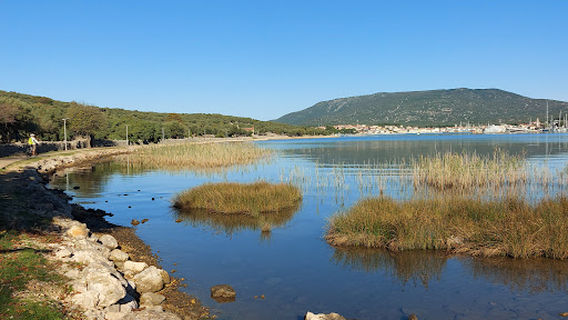 Valun