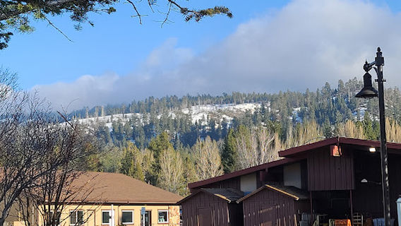 Rotary Pine Knot Park