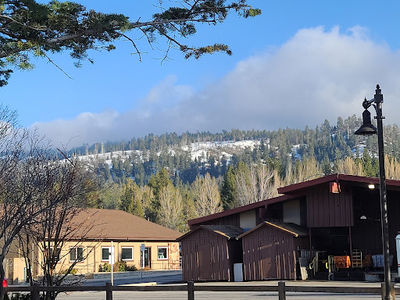 Rotary Pine Knot Park