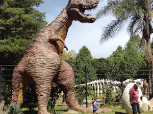 Havaí Parque Aquático