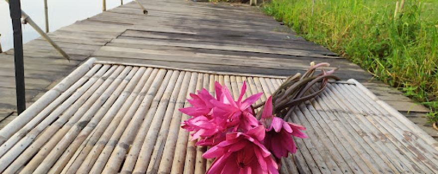 Bang Taen Riverside Campground