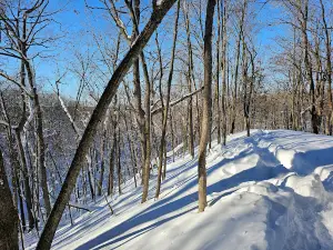 Mauthe Lake Recreation Area