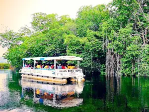 J. Charles Swaby's Black River Safari