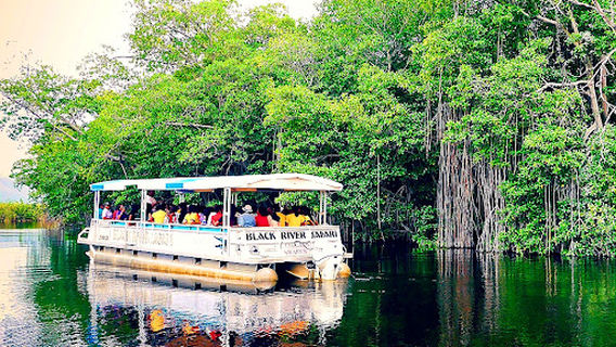J. Charles Swaby's Black River Safari