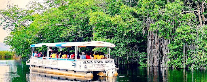 J. Charles Swaby's Black River Safari