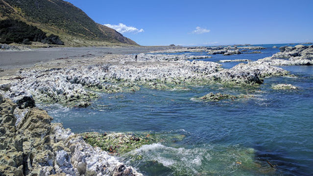 Ward Beach Boulders