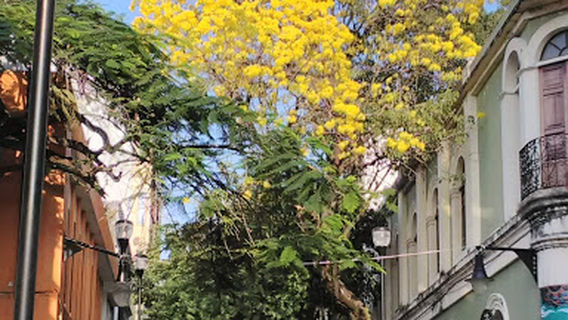 Benito Juárez (Juárez Park)