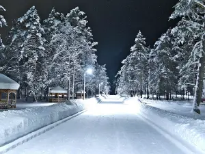 Orlonok