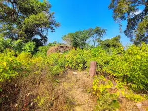 Vairagad Fort