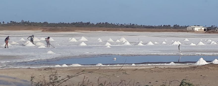 Salinas Sinamaica
