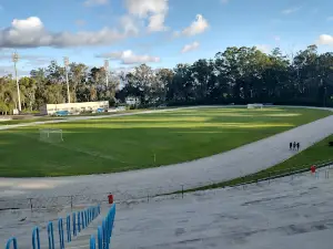 Municipal Stadium Lomanto Junior