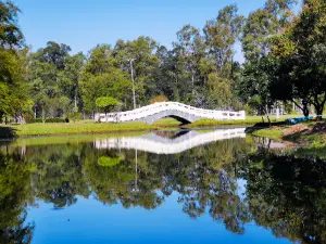 Ñu Guasú - Humberto Rubín Park