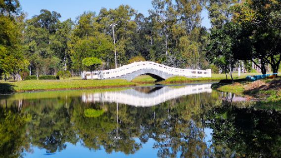 Ñu Guasu Park