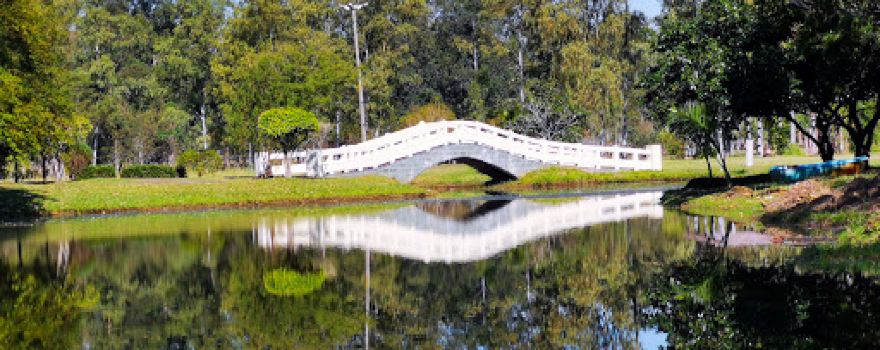 Ñu Guasú - Humberto Rubín Park
