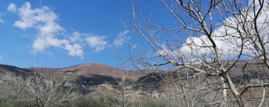 Parco sarrastri