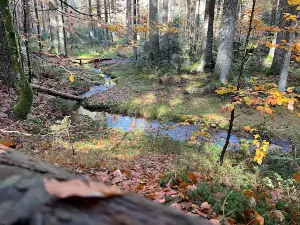 Waldspielgelände Spiegelau